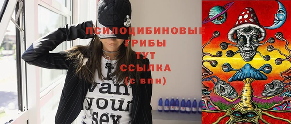 трава Абаза