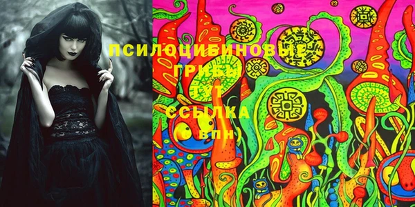 трава Абаза
